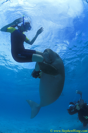 Dugong 10