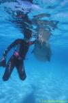 Dugong 17s & Takako