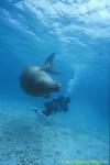 Dugong 20s & Takako