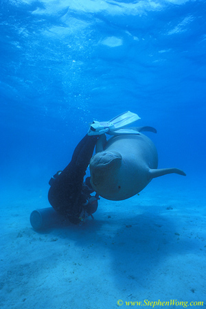 Dugong 23s & Takako