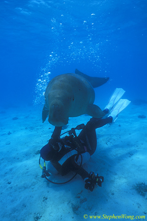 Dugong 24s & Takako