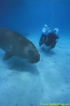 Dugong 25s & Takako