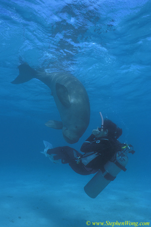 Dugong 27s & Takako