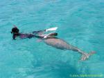 Takako & Dugong 02