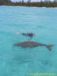 Takako & Dugong 04
