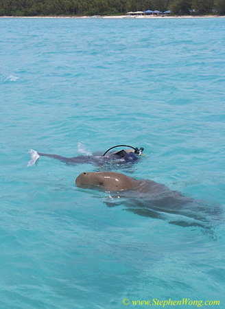 Takako & Dugong 05