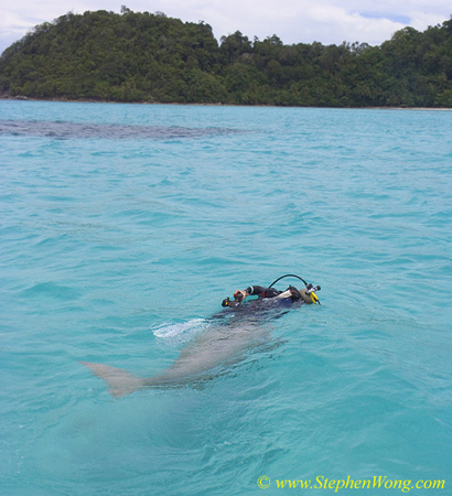 Takako & Dugong 10