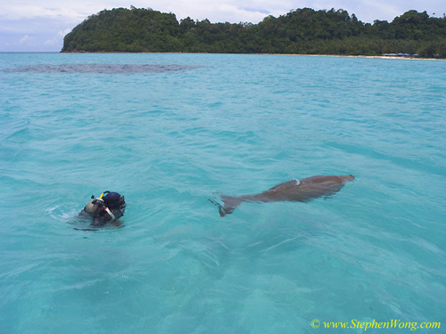 Takako & Dugong 11