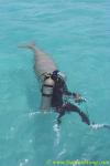 Takako & Dugong 12b