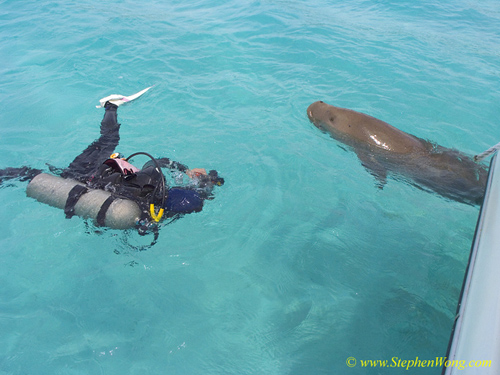 Takako & Dugong 13