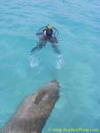Takako & Dugong 14