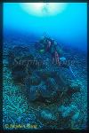 Giant Clam, 03 & Takako