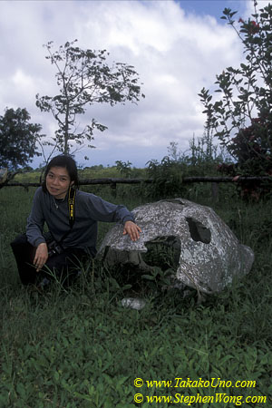 Takako  & Galapagos Tortoise shell 110104