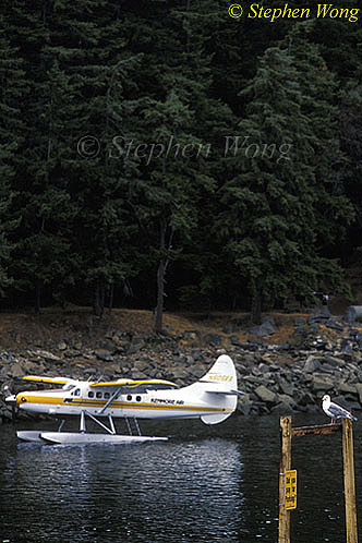 Sea Gull & Water Plane 01, Vancouver Is 110103