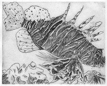 Stephen Wong's 'Lionfish' etching 1977 01a