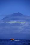 Whale watchers & Pico Mountain 01 0705