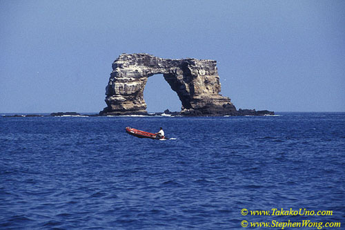 z Darwin Arch 01 110104