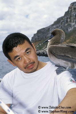 z Moi & wild Red Footed Boobie juvenile 110104