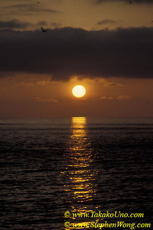 z Sunset at Wolf Island 01 110104