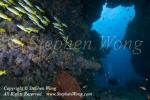 Cave 11t & Takako 6099 copy