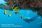 Takako 04t & Bannerfish 0159