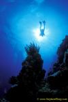 Diver & Seascape 110104