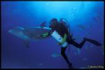 Bottlenosed Dolphins 127 Bahamas 051304